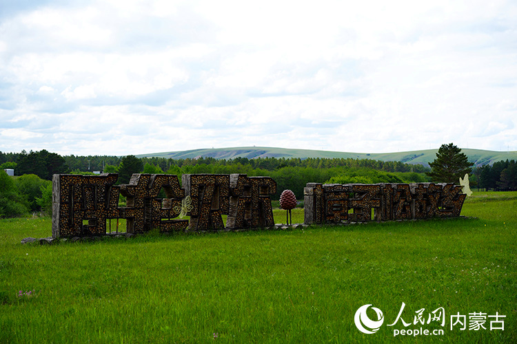 走進樟子松故鄉(xiāng)。人民網記者 李睿攝