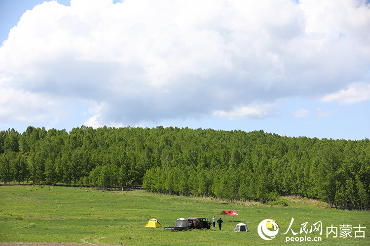 游客置身“油畫(huà)”世界。人民網(wǎng)記者 李睿攝