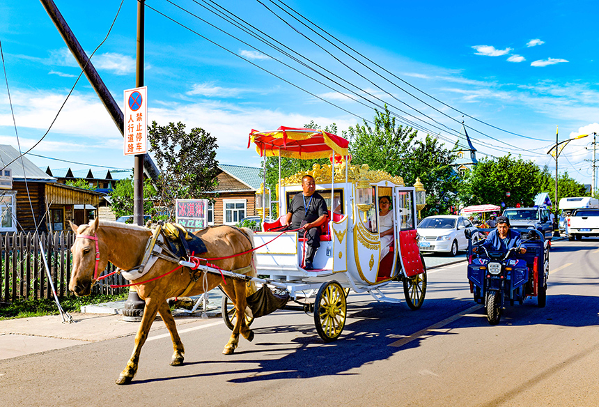 觀光馬車在額爾古納市恩和俄羅斯族民族鄉(xiāng)恩和村休閑街上行走。王正攝