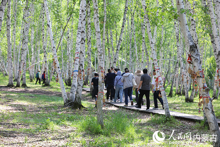 白樺林景區(qū)內(nèi)游人如織。人民網(wǎng)記者 李睿攝