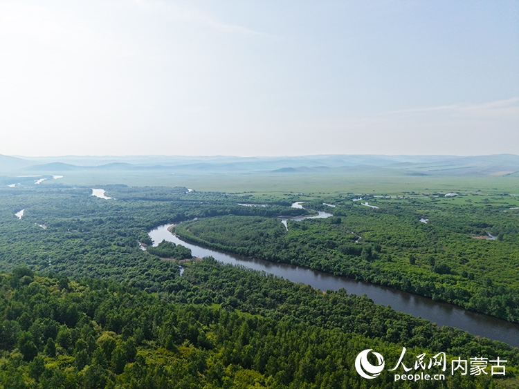 額爾古納濕地盡顯生態之美。人民網記者 齊浩男攝