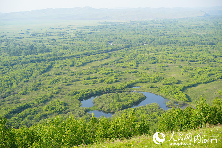 額爾古納濕地景觀。人民網記者 張聿修攝