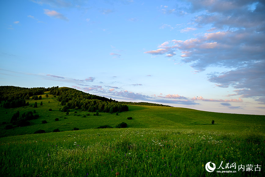 免渡河國家濕地公園內(nèi)一處。實習生 張雅新攝