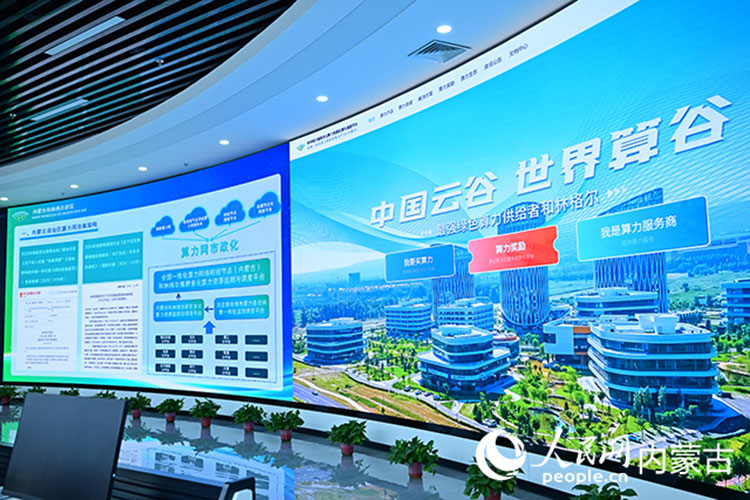 右側為內蒙古和林格爾新區多云算力資源監測與調度平臺算力交易頁面。人民網記者 寇雅楠攝