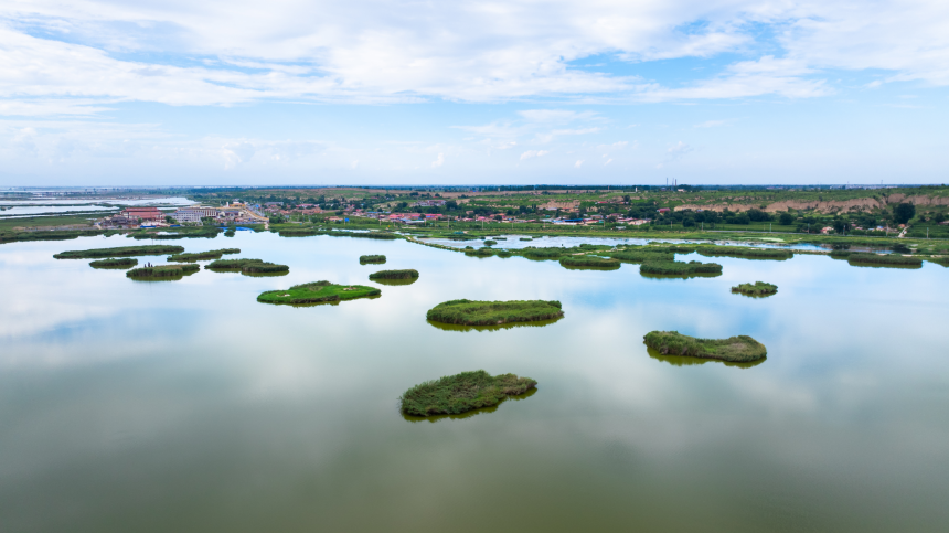 航拍視角下的托克托縣南湖，碧水之上，一簇簇茂盛的蘆葦蕩隨風(fēng)搖曳，點(diǎn)綴出濕地的盎然生機(jī)。張瑋攝