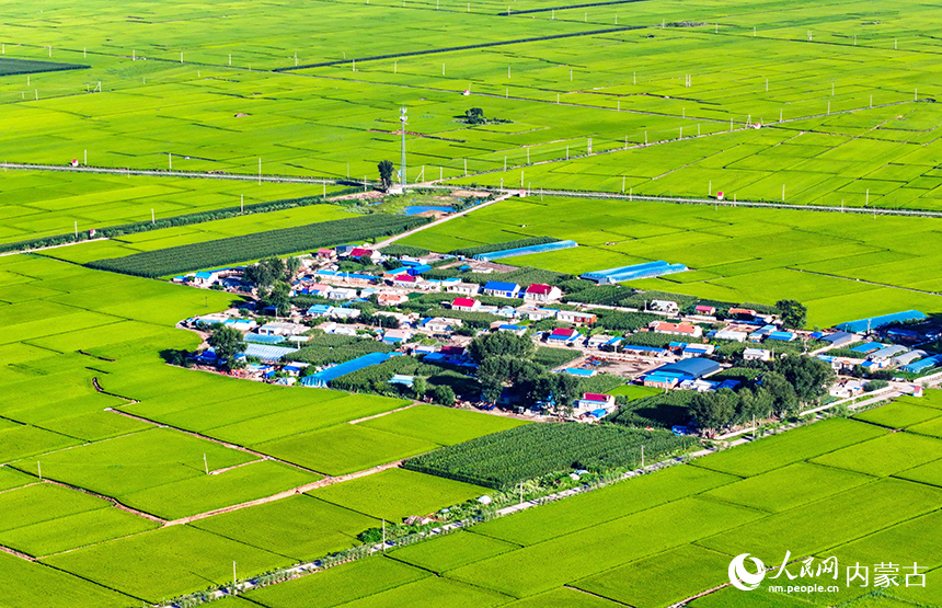 在興安盟扎賚特旗好力保鎮巴岱村，稻田與民居構成一幅美麗的田園畫卷。王正攝