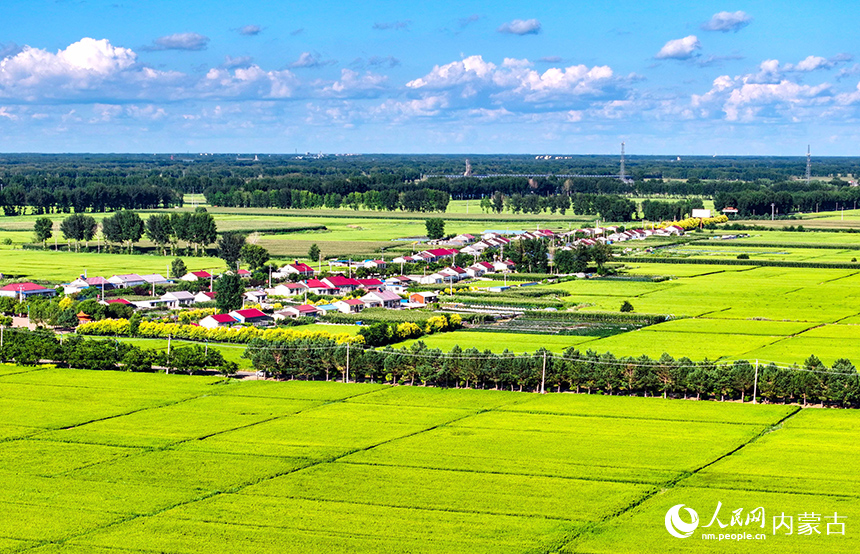 在興安盟扎賚特旗好力保鎮五道河子村，稻田與民居構成一幅美麗的田園畫卷。王正攝