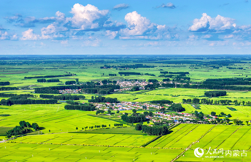 在興安盟扎賚特旗好力保鎮(zhèn)寶泉村，稻田與民居構(gòu)成一幅美麗的田園畫卷。王正攝