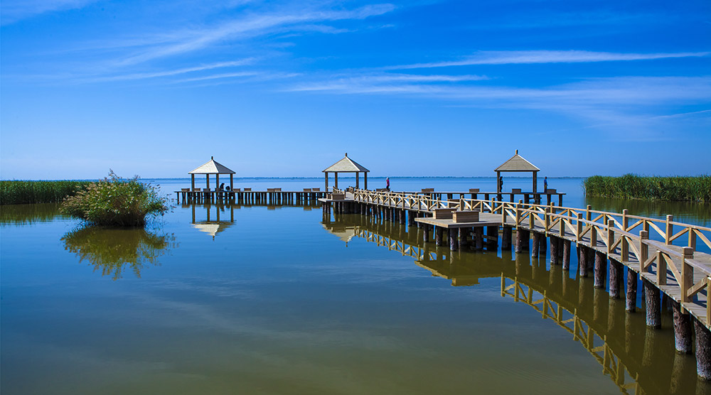 哈素海木棧道的風光別具一格