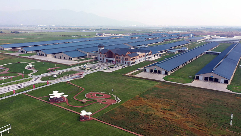 俯瞰敕勒川生態(tài)智慧牧場