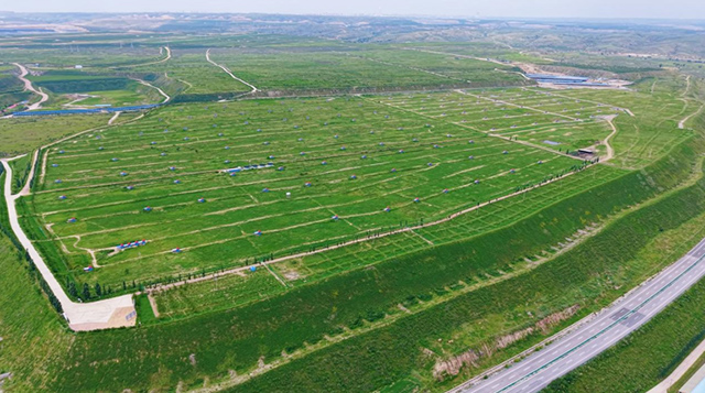 種豆礦山下,草盛瓜果豐。張甫丞攝