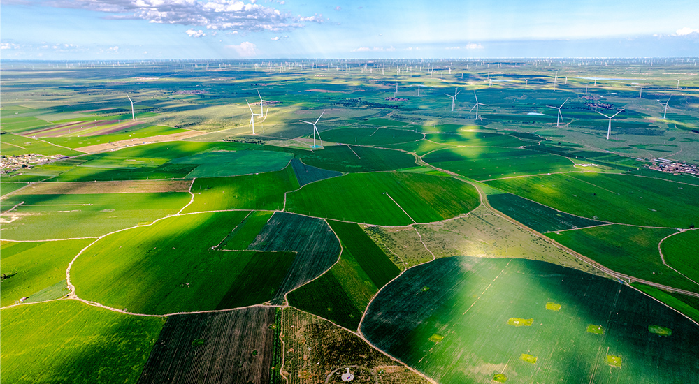 新能源與綠色農業協同發展。