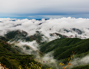 蘇木山云海。