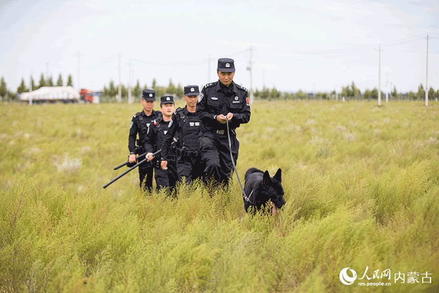 訓導員組織警犬進行追蹤科目訓練。郭鵬杰攝