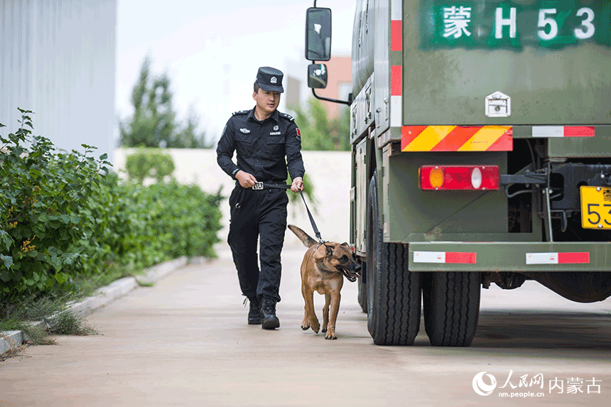 訓導員組織警犬進行車體搜爆訓練。郭鵬杰攝