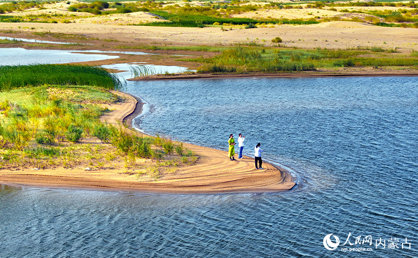 游客在鄂爾多斯市杭錦旗庫布其沙漠生態濕地游覽。王正攝