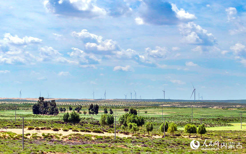 庫布其沙漠鄂爾多斯市杭錦旗段景色。王正攝