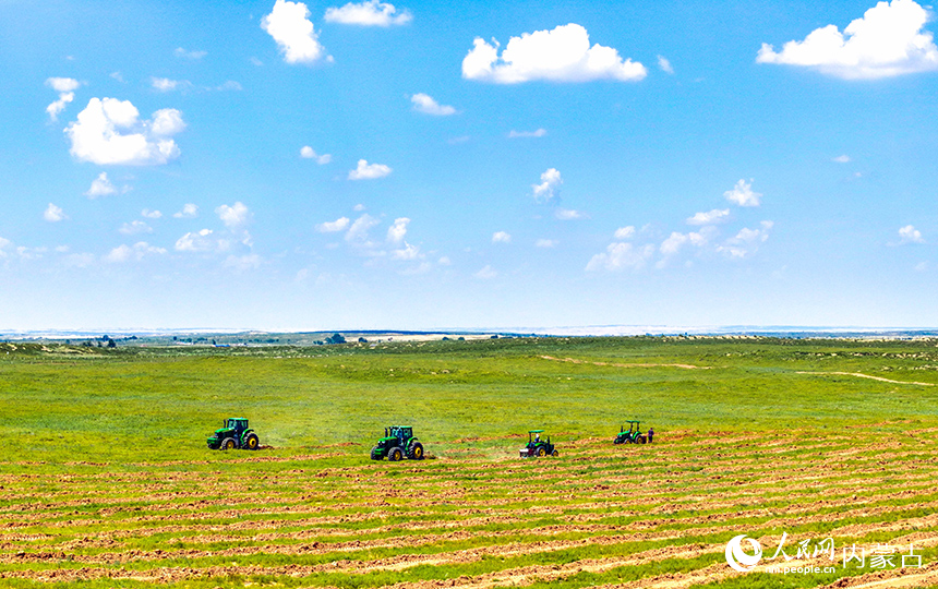 治沙機械在庫布其沙漠鄂爾多斯市杭錦旗段治沙項目區作業。王正攝