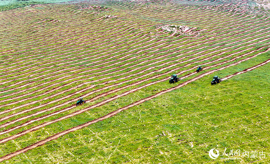 治沙機(jī)械在庫(kù)布其沙漠鄂爾多斯市杭錦旗段治沙項(xiàng)目區(qū)作業(yè)。王正攝