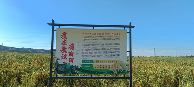 海淀區“我在敖漢有畝田”。葉劍南攝