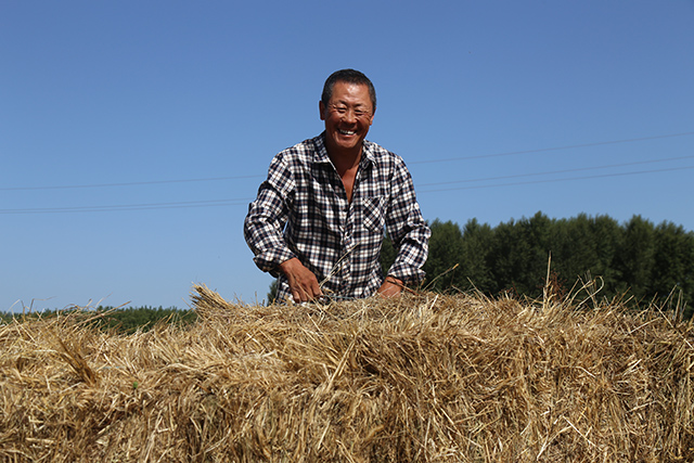 牧草分紅喜樂牧戶。