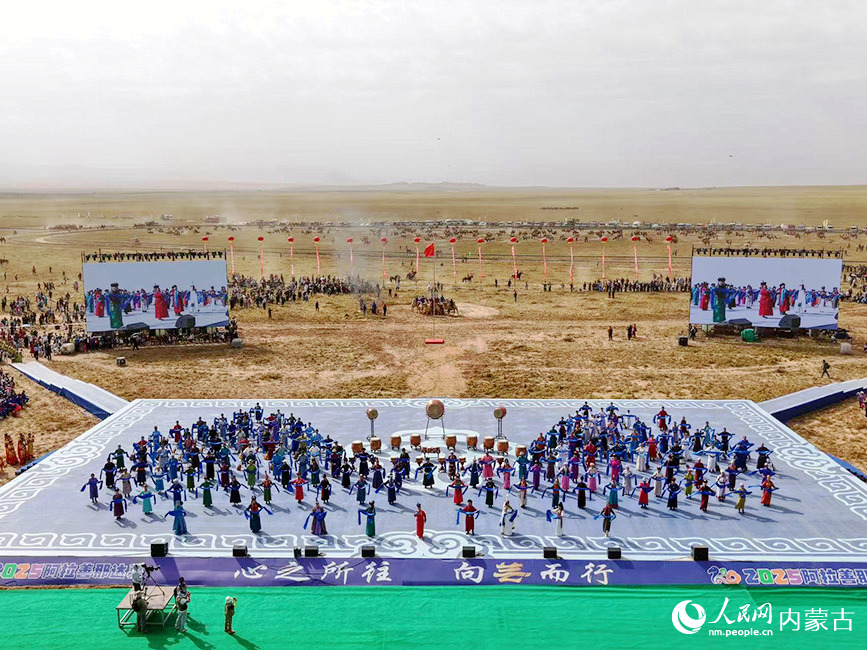 活動現場。人民網記者 齊浩男攝