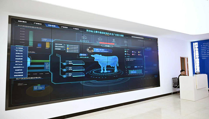 行進(jìn)中國|在內(nèi)蒙古給牛辦張“身份證”
在通遼市科爾沁左翼中旗國家現(xiàn)代農(nóng)業(yè)產(chǎn)業(yè)園,打開肉牛產(chǎn)業(yè)大數(shù)據(jù)平臺(tái),園區(qū)內(nèi)9萬多只牛、6000多戶養(yǎng)殖戶的基本數(shù)據(jù)一目了然。