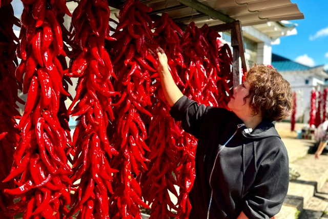 晾曬辣椒。欣然攝