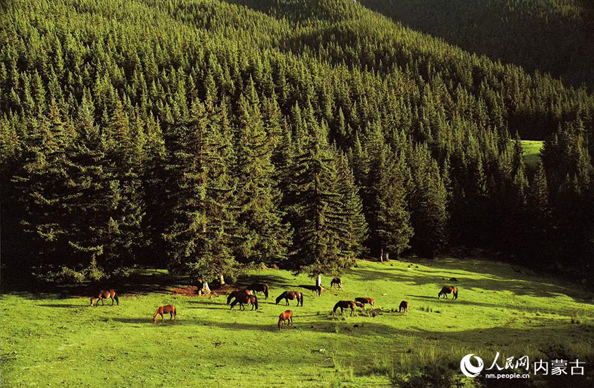 賀蘭山美景。哈斯巴根攝