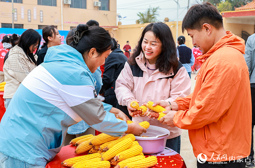 呼和浩特市玉泉區“中國農民豐收節”活動現場，村民、志愿者和工作人員參與剝玉米粒比賽。丁根厚攝