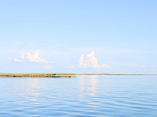 內蒙古呼倫湖國家級自然保護區