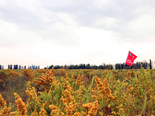 磴口縣防沙治沙綜合示范區