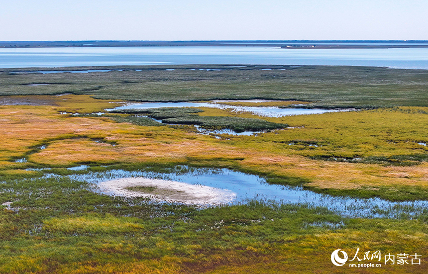 內蒙古圖牧吉國家級自然保護區秋色。王正攝