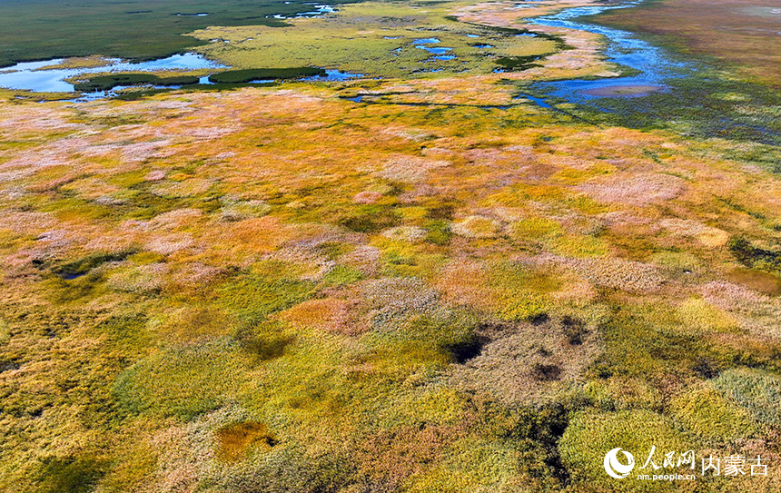 內蒙古圖牧吉國家級自然保護區秋色。王正攝