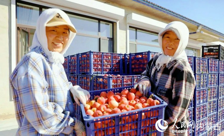 希伯花鎮(zhèn)農戶展示海棠果。受訪者供圖