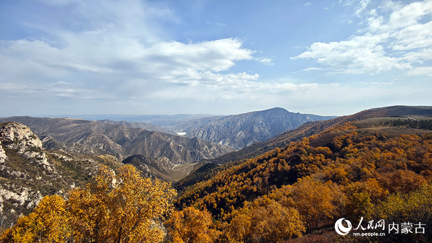 武川縣哈達門景區(qū)中的美麗秋景。人民網(wǎng)記者 張雪冬攝