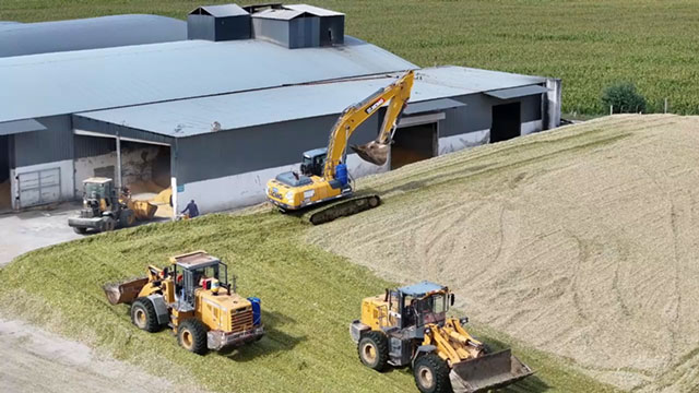 養殖企業正在進行青貯貯藏作業。余節蒙攝