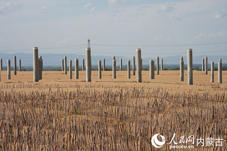 巴音至蒲圪卜公路旁的光伏項(xiàng)目建設(shè)中。人民網(wǎng)記者 趙夢月攝