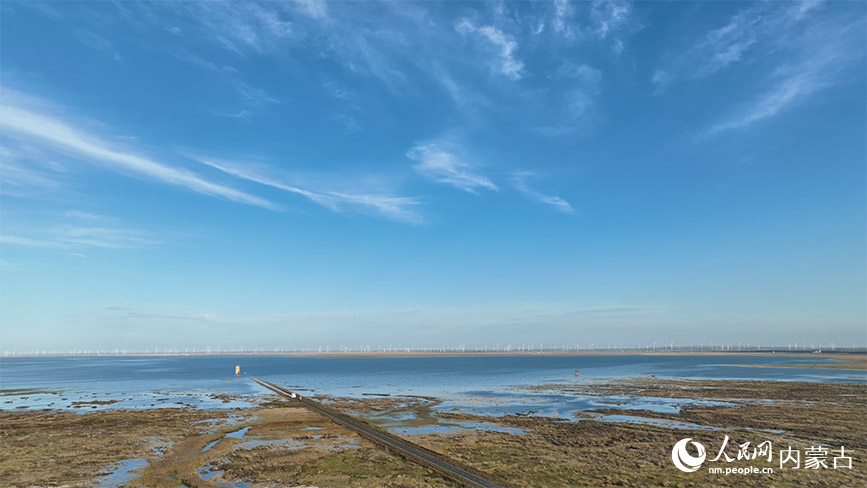 曾經“片片鹽堿白茫茫”的荒蕪如今煥新顏。鄭中輝攝