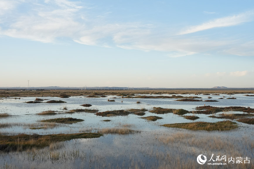 商都察汗淖爾國家濕地公園的秋景。人民網記者 苗陽攝