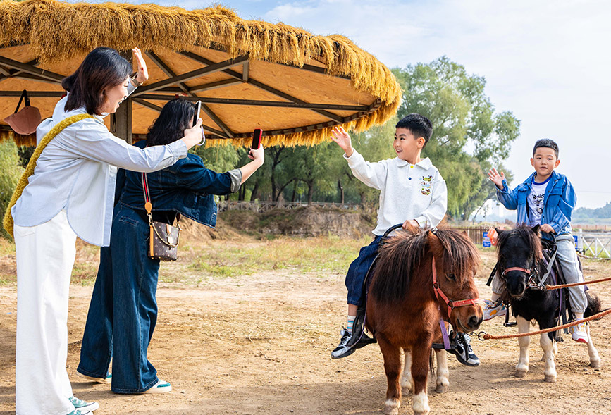 10月4日，呼和浩特市玉泉區林下郊野萌寵樂園，小朋友騎矮馬游覽。丁根厚攝
