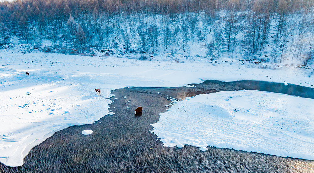阿爾山市不凍河