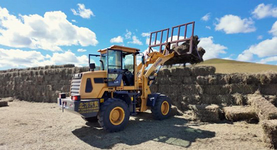 烏拉蓋管理區(qū)賀斯格烏拉牧場牧民楊曉炯家豐收的牧草堆成了整齊的“草墻”。