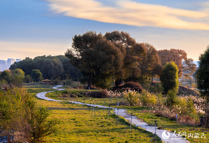 10月20日，呼和浩特市玉泉區大黑河郊野公園秋意正濃、景美如畫。丁根厚攝