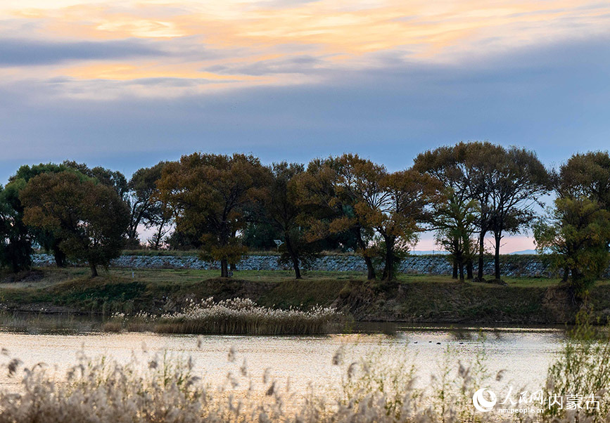 10月20日，呼和浩特市玉泉區大黑河郊野公園秋意正濃、景美如畫。丁根厚攝