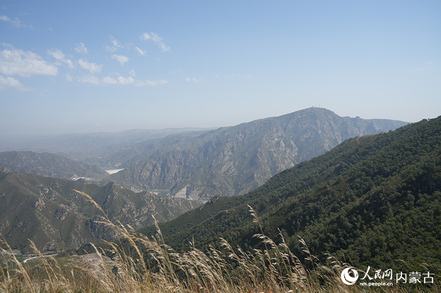 哈達門國家森林公園。人民網(wǎng)記者 張雪冬攝