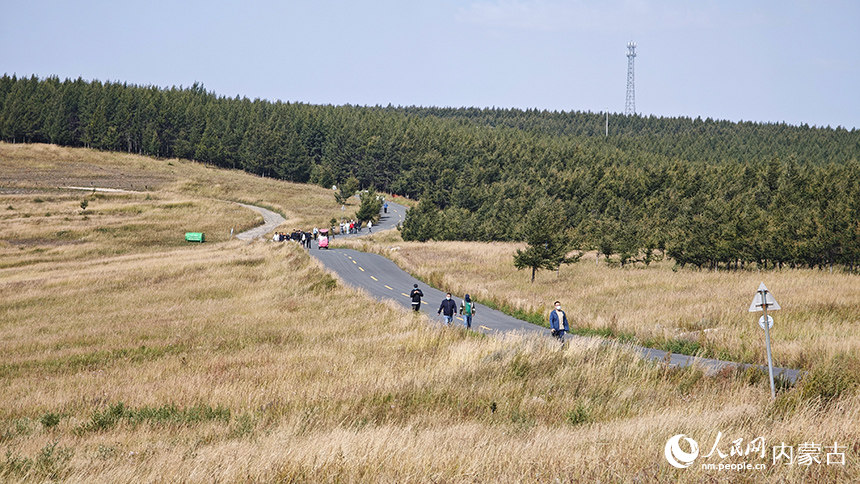 游客在哈達門國家森林公園內徒步感受自然風光。人民網記者 張雪冬攝 
