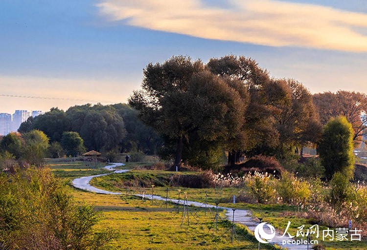 呼和浩特市大黑河郊野公園秋意正濃、景美如畫(huà)。丁根厚攝
