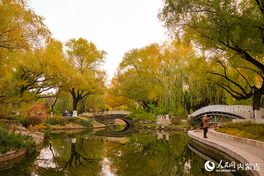 呼和浩特市滿都海公園秋色宜人。實習生 牛佳攝