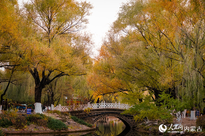 呼和浩特市滿都海公園秋色宜人。實(shí)習(xí)生 牛佳攝